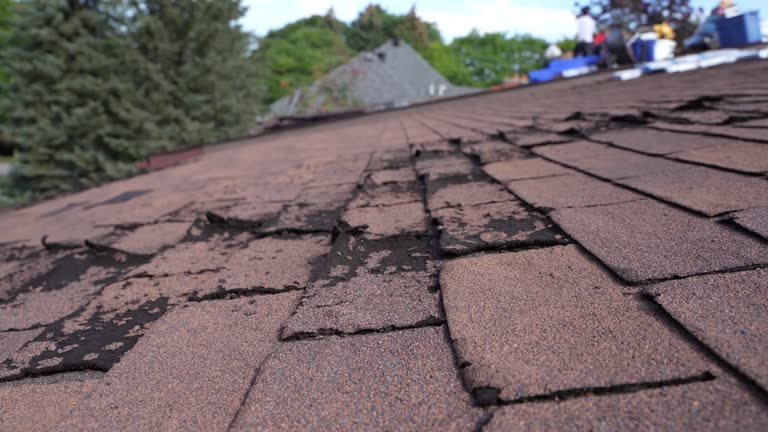 Best Roof Maintenance and Cleaning  in Lindenhurst, IL