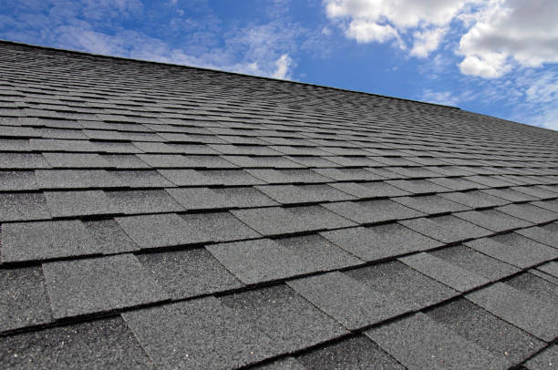 Best Roof Moss and Algae Removal  in Lindenhurst, IL